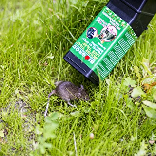 Piège à souris – piège à capture vivante – photo 10