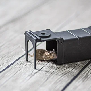 Piège à souris – piège à capture vivante – photo 8